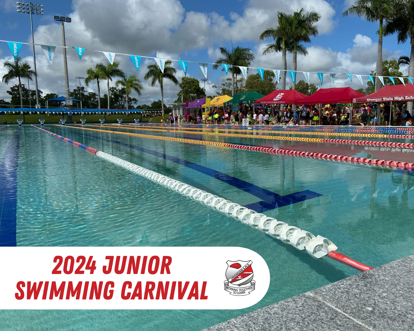 2024 Junior Swimming Carnival Newsletter